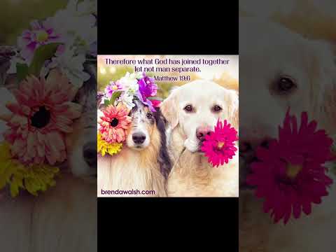 #dustybibles #dailybibleverse #christianmusic #dog