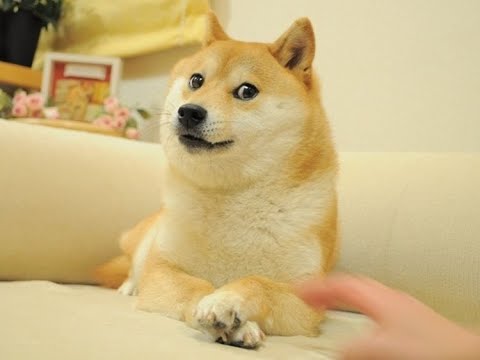 식곤증 코딩 🍚