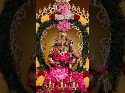 స్వామియే శరణం అయ్యప్ప #శబరిమలై ayyappa #pooja #viralreels #shortsvideos #ytshorts