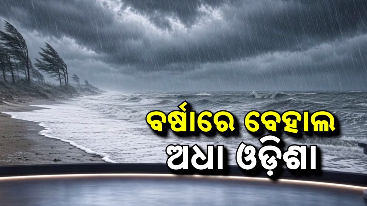 🔴Live | ବର୍ଷାରେ ବେହାଲ ଅଧା ଓଡ଼ିଶା | Deep Depression To Make Landfall Tonight | Argus News