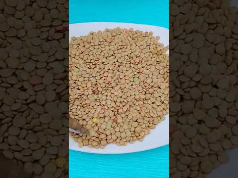 polvo de lenteja como abono #plantas #jardin