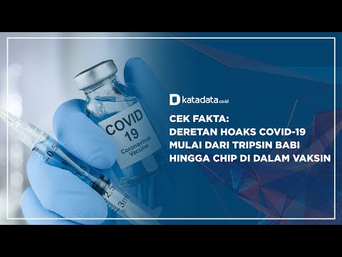 Cek Fakta: Deretan Hoaks Covid-19, Dari Tripsin Babi Hingga Chip Dalam Vaksin | Katadata Indonesia