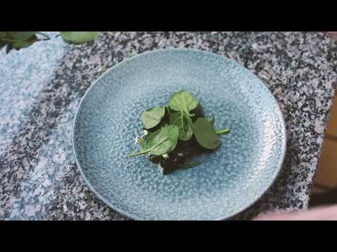 Une fonction, un Chef : Nicolas Gautier