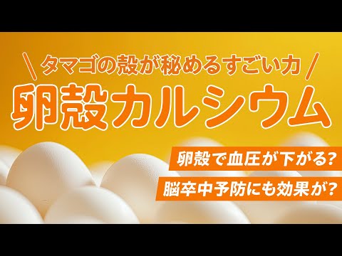 【専門家が解説】卵の殻で血圧が下がる？すごい力を秘めた「卵殻カルシウム」 ～ぎゅっと！タマゴ～