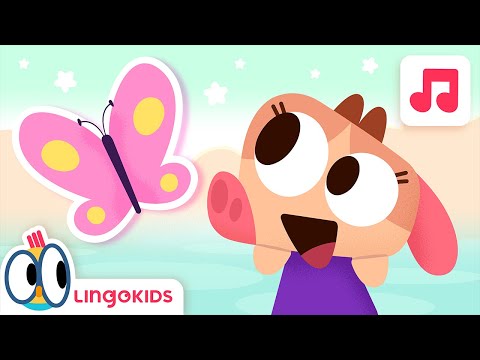 THE BUTTERFLY SONG 🦋🎶 Can you find it? 🔍 Songs for Kids | Lingokids