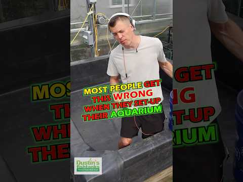 Dirting And Planting An 8' by 8' Basin of Vallisne SOME OF THE BEST ADVICE I CAN GIVE ABOUT THE PLANTED AQUARIUM! Check this out! Dirting and Planting 