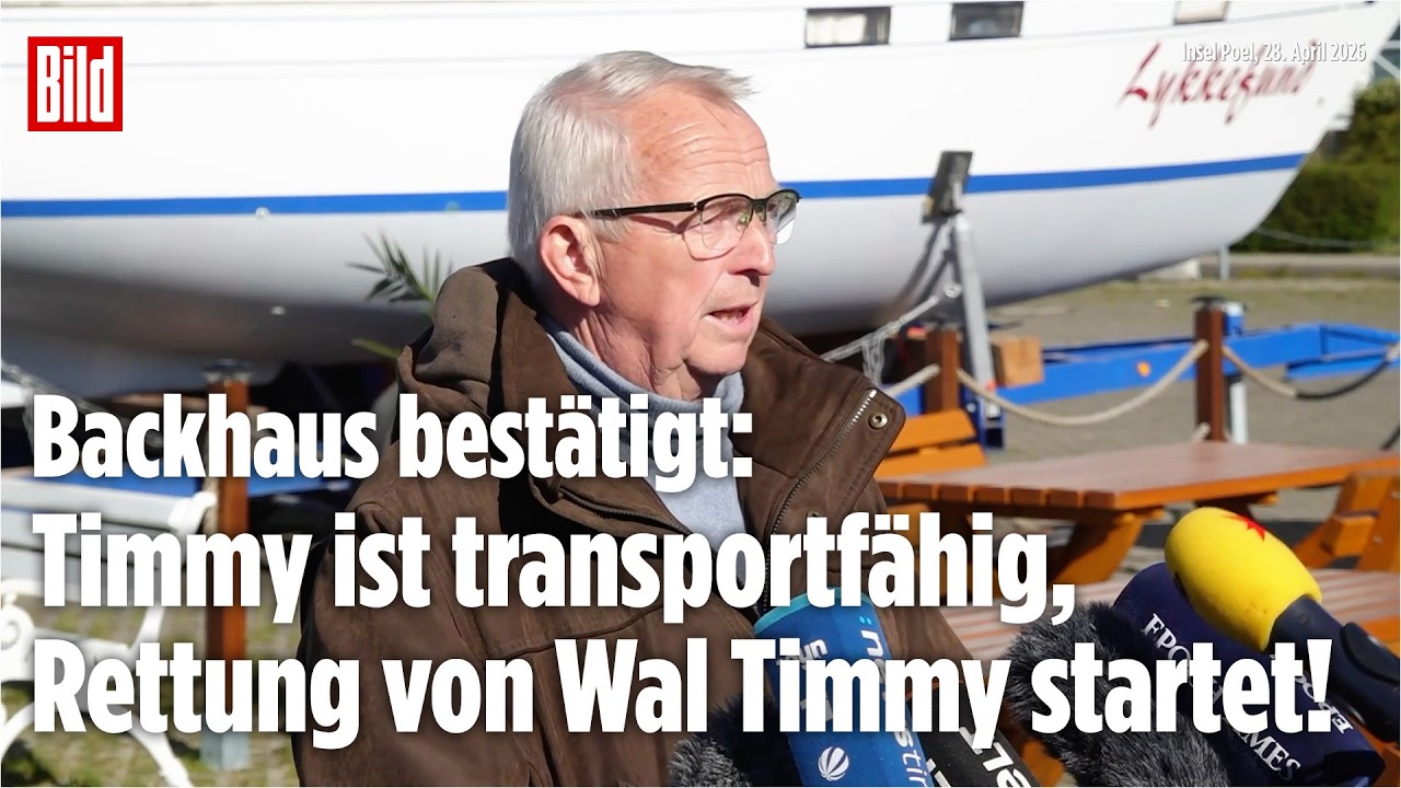 TILL BACKHAUS AUF POEL: Grünes Licht für Wal-Rettung – Start für dramatische Bergung