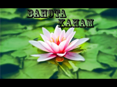 BAHOTA KAHAM The billionaire's Mantra  Listen Every day