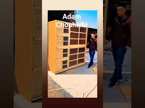 شوفو معيا الاخوان هاد الوكورة ديال تفراخ كدايرين الهم بارك والله يصخر الجميع #birds #طيور #الديحاني