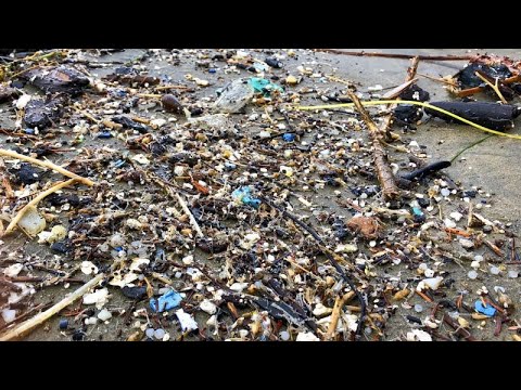Ωκεανοί: Μέσα σε 6 χρόνια, 18 φορές περισσότερα μικροπλαστικά