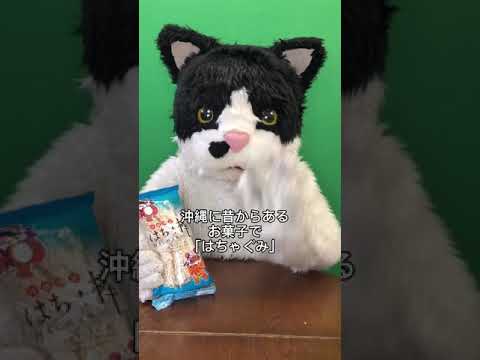 むぎ(猫)「沖縄こんちくわシリーズvol.8はちゃ棒」