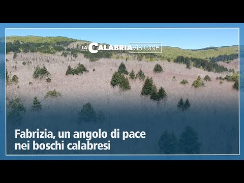 Fabrizia, un angolo di pace nei boschi calabresi - LaCalabriavisione