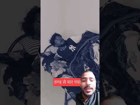 A Disabled duckling helps his cat friends 🐥 #DuckRescue​ #CuteAnimal​ #AnimalRescue