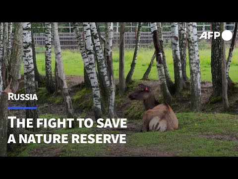 Residents and activists fight to save Russian national park | AFP