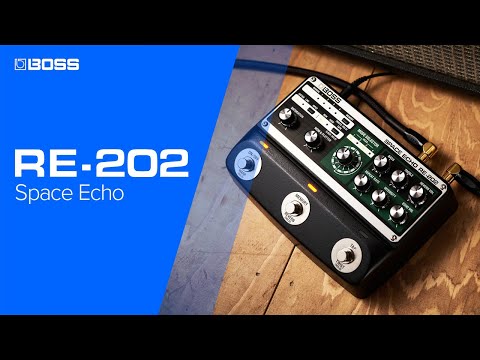 BOSS RE-202 Space Echo | The Next Generation of Space Echo