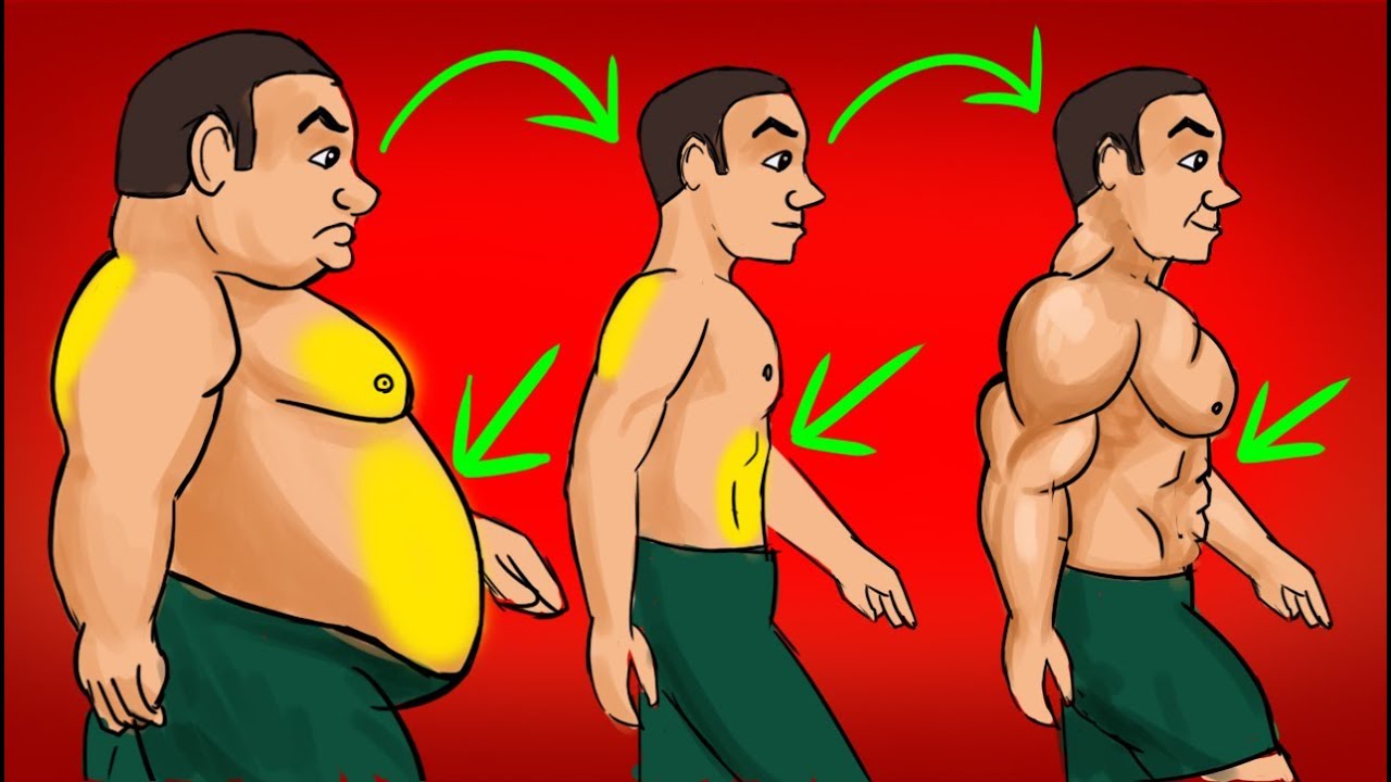 Как жир превратить в мышечную массу