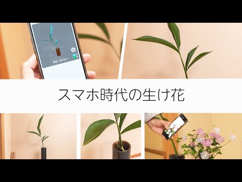 苦手意識がある人も大丈夫！スマホの上手な活用法