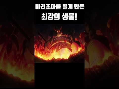 마리조아를 벌벌 떨게 만든 최강의 생물! #원피스 #onepiece