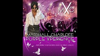 Prince Tribute Band The Purple Xperience