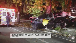 Driver killed in San Jose when car hits tree