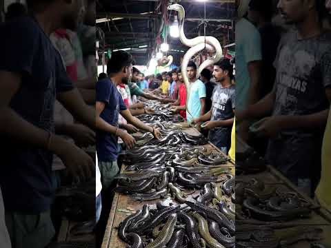 #animals protein food sold in market