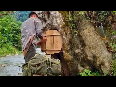 Bushcraft I Bikin tempat berlindung di dalem pohon besar samping sungai, ASMR 
