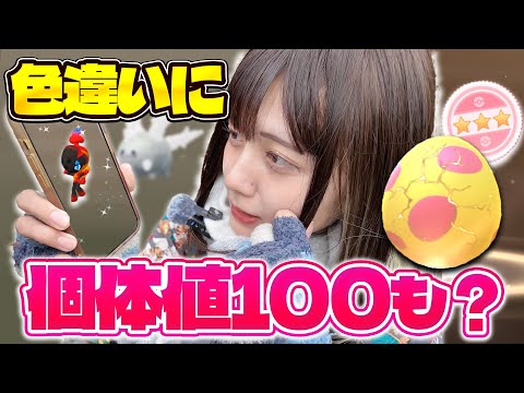 色違いカルボウ狙ったら色違いに個体値100もきたwwww【ポケモンGO】