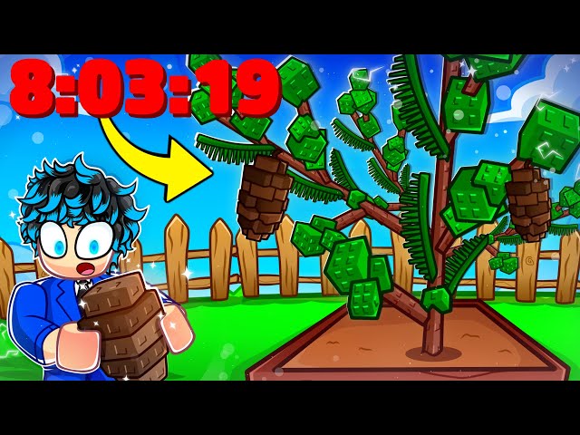 How Fast Can I Get GIANT PINECONE SEED on Grow a Garden!