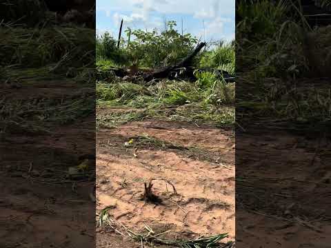 10 de outubro de 2025