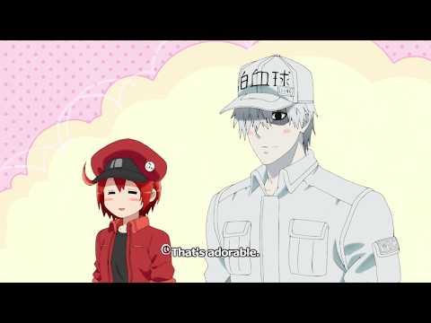 Cells at Work!'