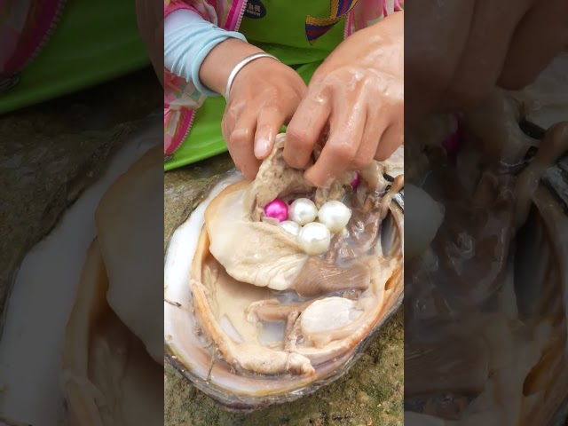 Mud to Millions: Girl's Pearl Find #pearl #fishing