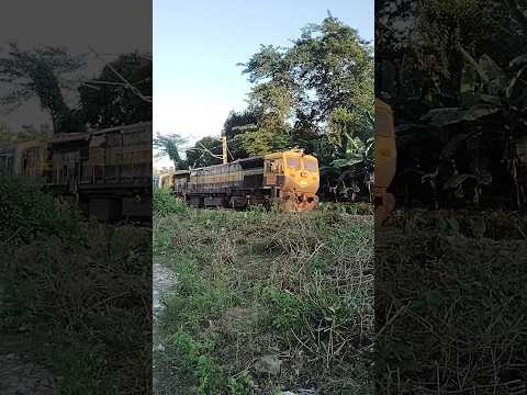 चल छैया chaiyya #trending #travel #train #love #bollywood #ytshorts