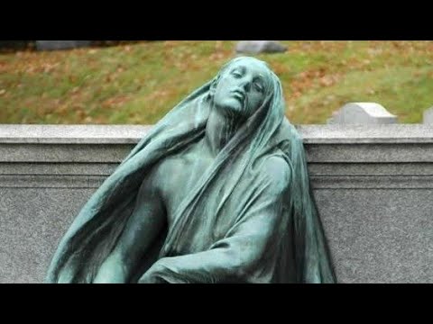 #1138🦝🍁RACCOONMAN🦝TURNS😇☯️👺EVIL 🌬️🐶🦝🫸