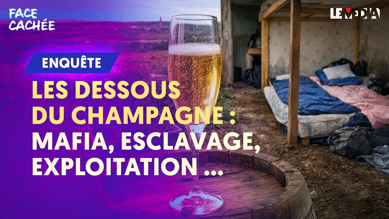 MAFIA, ESCLAVAGE, EXPLOITATION : ENQUÊTE SUR CE QUE CACHENT VRAIMENT LES BULLES DE CHAMPAGNE