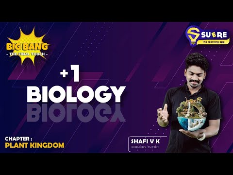 XI BIOLOGY | CHAPTER 3 | PLANT KINGDOM