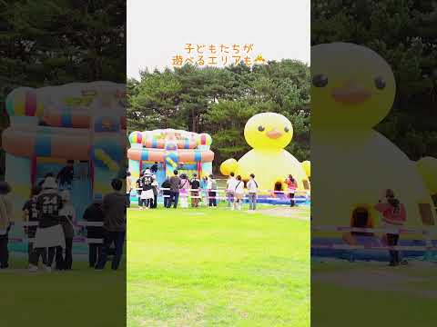 初開催！rockin’star Carnival⭐️