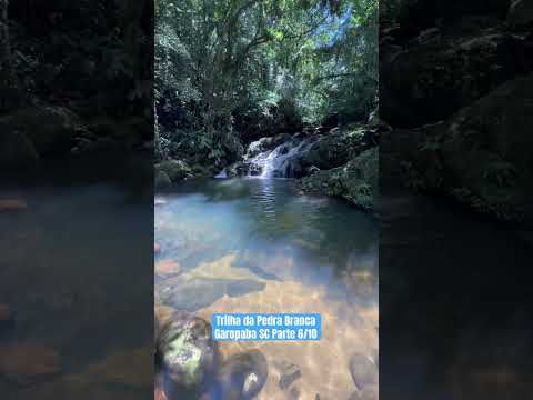 Trilha da Pedra Branca Garopaba SC Parte 6/10