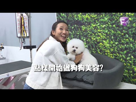 【潮流無限Loop】2025-10-17|預防身體痛症好方法?點樣開始做狗狗美容?家居木地板指南