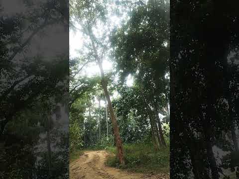 जिंदगी जीना बस एक यही मकसद हैं