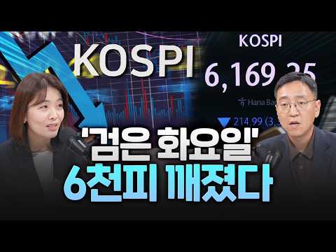 6천피마저 붕괴됐다! ‘검은 화요일’에 반도체 투톱 폭락