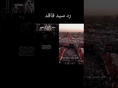 رد سيد فاقد