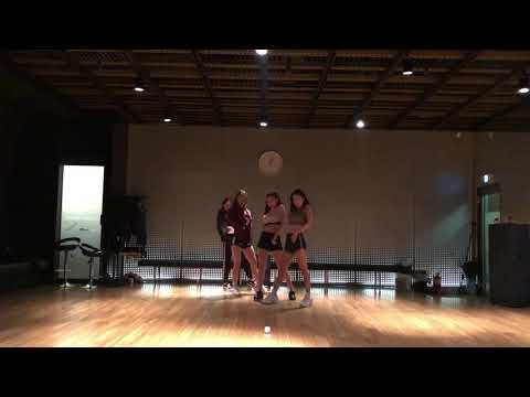 DDU-DU DDU-DU - BLACK PINK / DANCE PRACTICE VIDEO (CRAZY ver.)