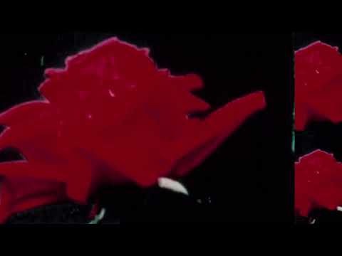TMB THE BEATMAKER - LATE NITE
