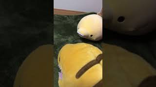 我慢するぞ… #それだけ