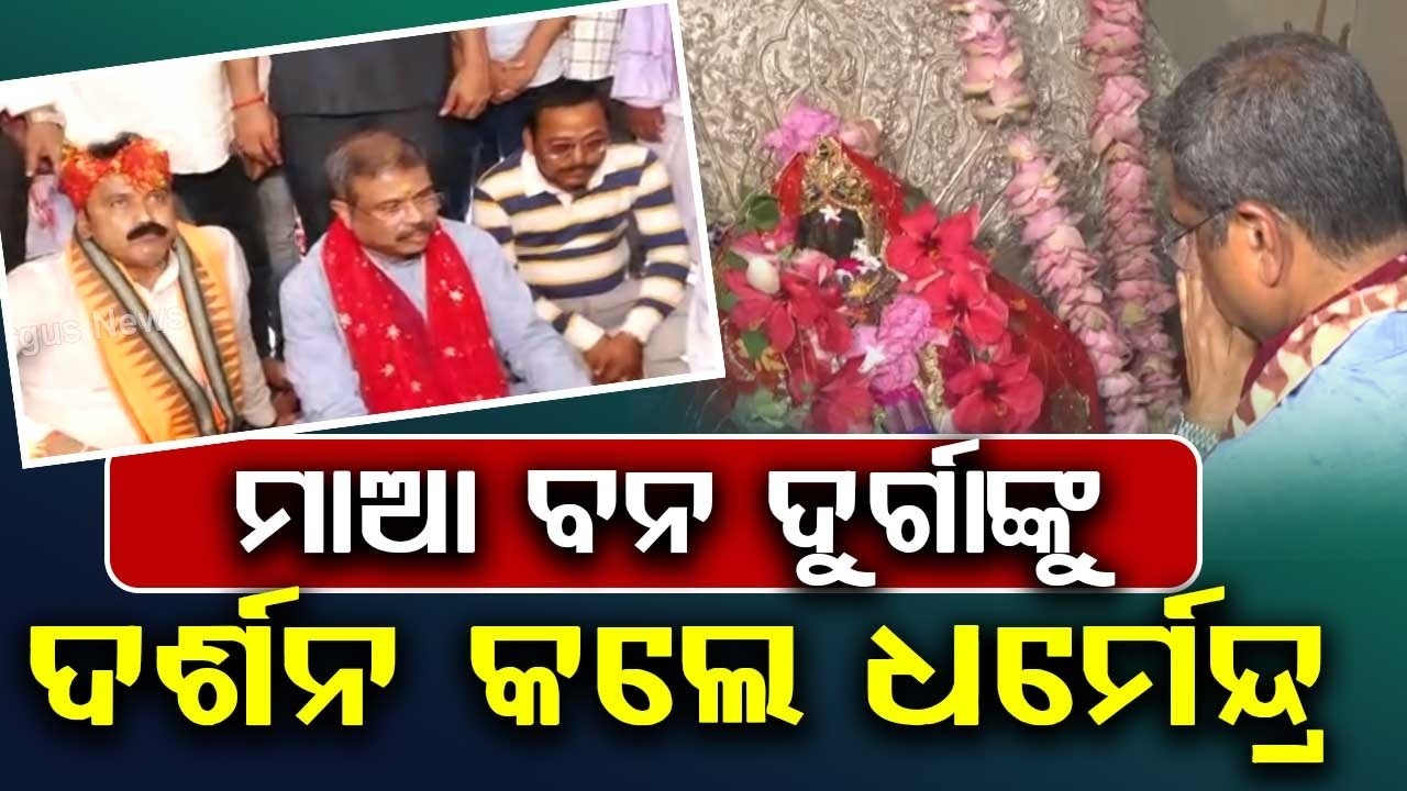 ମାଆ ବନ ଦୁର୍ଗାଙ୍କୁ ଦର୍ଶନ କଲେ ଧର୍ମେନ୍ଦ୍ର | Dharmendra Pradhan Visits Maa Banadurga Shrine In Hindol