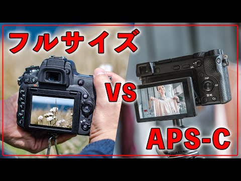 【カメラ初心者】カメラ買うならフルサイズとAPS-Cどっちがいい？