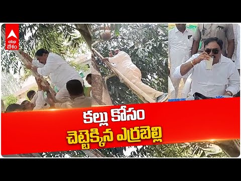 Minister Errabelli Dayakar Rao climbs palm tree for wine