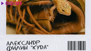 Александр Филин — КУДА | Prod by VIBESXUND | Official Audio | 2023