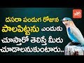 Why people watch blue bird for Dasara?