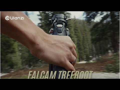Short Film | TreeRoot Tripod In The Field